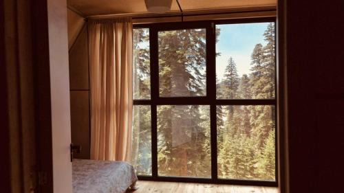 Bakhmaro Ski Chalet | Bakhmaro Green Horizon