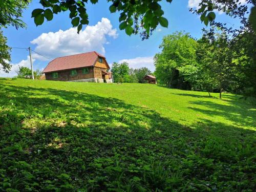 Cvetkovic Ski Chalet | Bakina iža