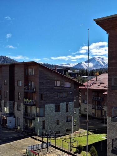 Bakuriani Apartment | Bakuriani Villa Monte