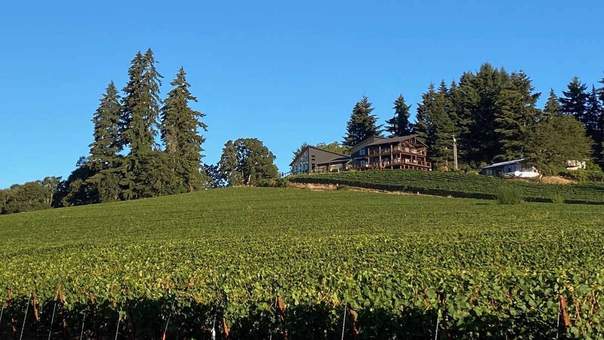 Dayton House | Balanza Vineyard Guest House