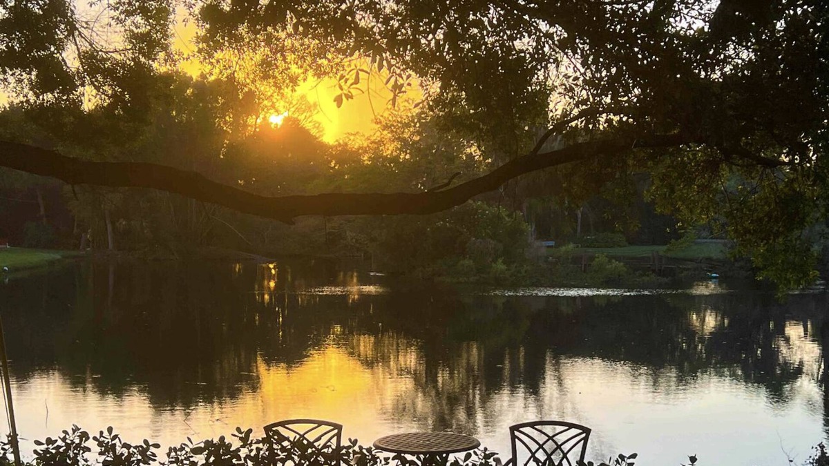 Trailer Estates Cottage | Bali at the Bay ~ A Tranquil Sarasota Retreat close to downtown & beaches