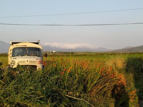 Ballyferriter Other | Ballincolla Base Camp