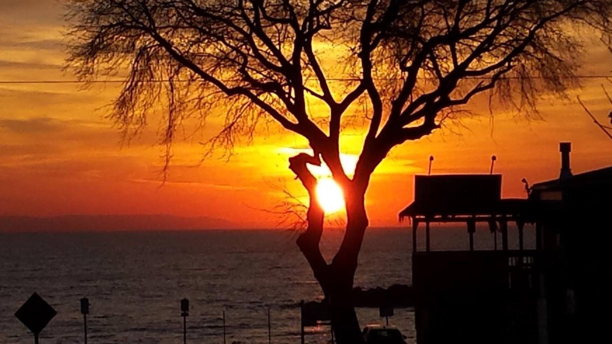 Balm Beach Hotel | Balm Beach Resort & Motel