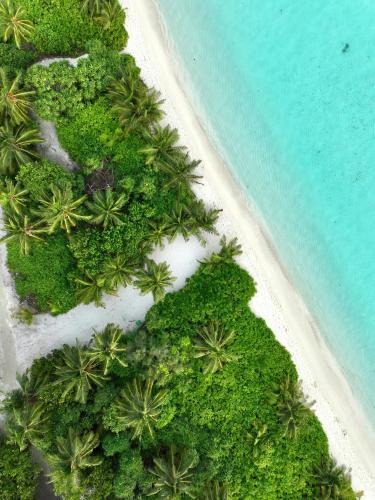 Nilandhoo Bed & Breakfast | Balma Beach Inn