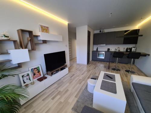Kaunas Apartment | Baltijos Apartment
