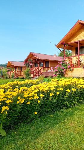 Corbeni House | Baltina Parc Transfagarasan