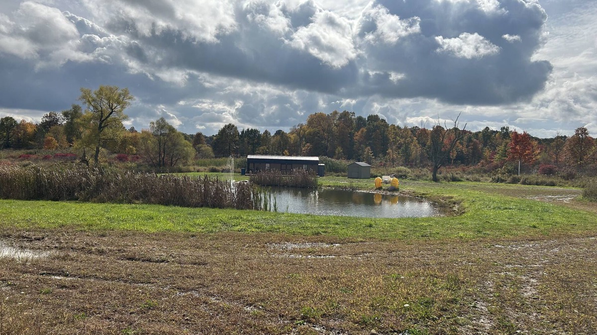 Wayland Cabin | BAM Acres Cabin