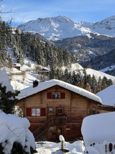 Peist Apartment | Bambi Lodge Ferienwohnung auf knapp 1400 m nahe Arosa