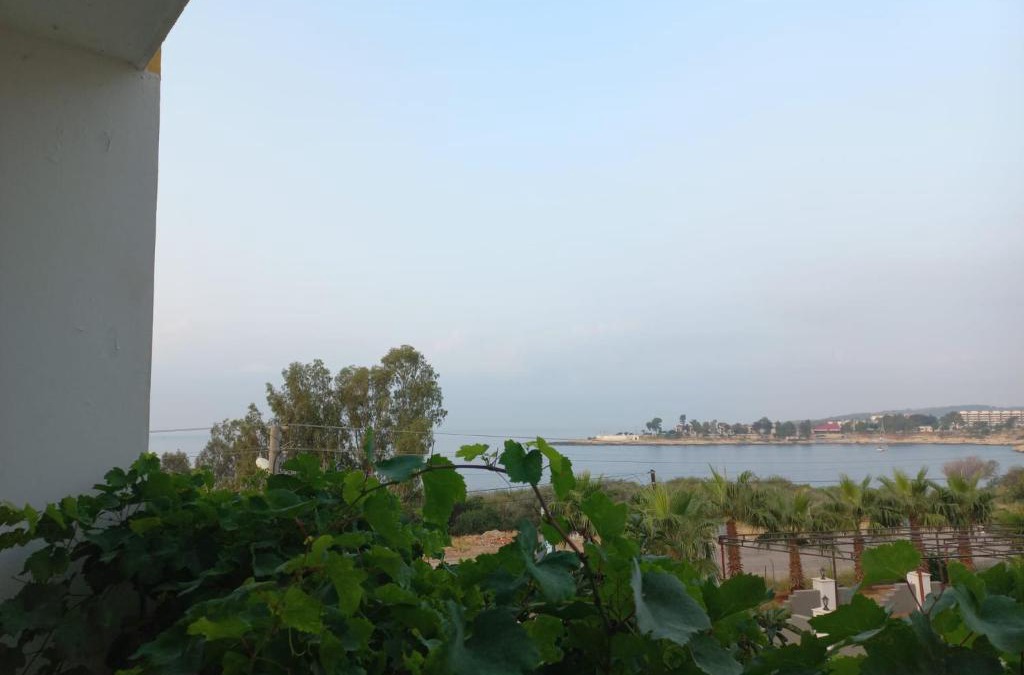 Artikli Hotel | Barış otel