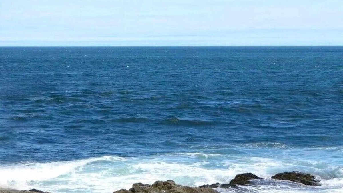 Bar Harbor House | Bar Harbor Panoramic Oceanfront for Your Whole Family! Kids and Dogs Love It!