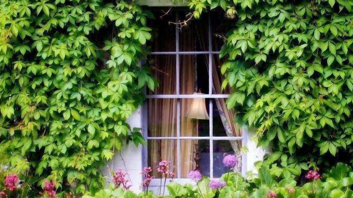 Straffan Hotel | Barberstown Castle