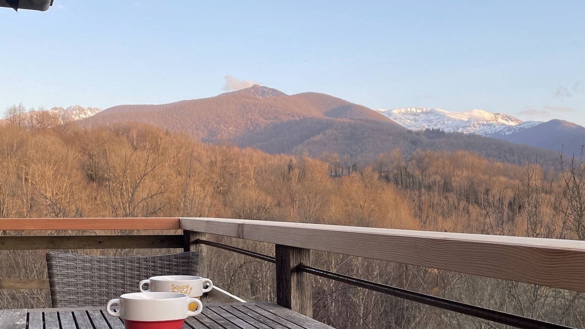 Massat House | Barn in the middle of our farm with cows and chickens at 750m altitude