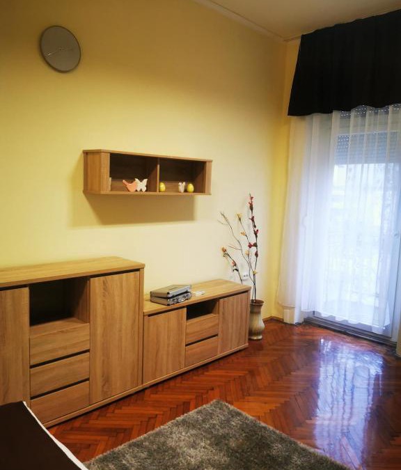 Szolnok Apartment | Baross-hat 5