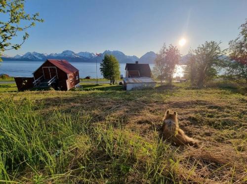 Lyngen House | Basecamp Djupvik, Lyngen alps panorama