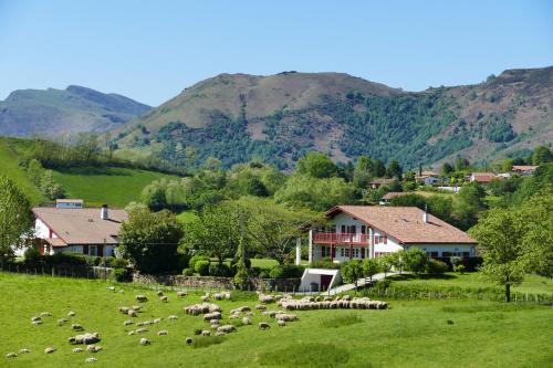 Louhossoa Apartment | BaskoParadis I Eco-Gites I Calme I Vue I Ânes I Jardin I Montagne I Nature