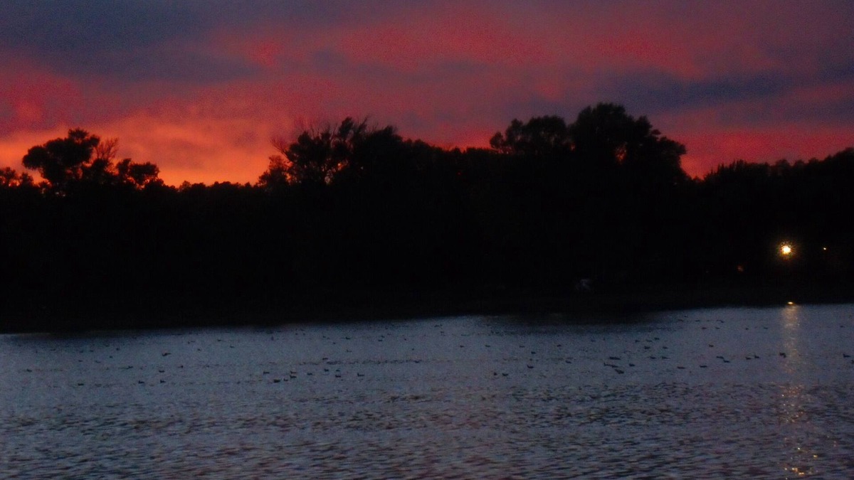 Whittington Cabin | Bass Cabin: Fully Furnished Lakeside Cabin. Nicely decorated for comfort.