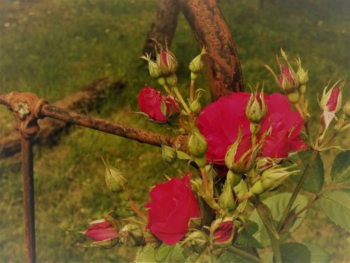 Noailles Bed & Breakfast | Bastida de Beata
