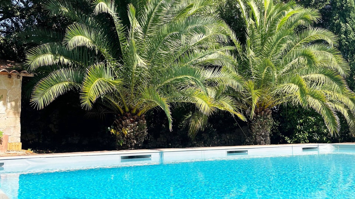 Aiguelongue House | Bastide Castella - Privatization - Swimming pool/Jacuzzi