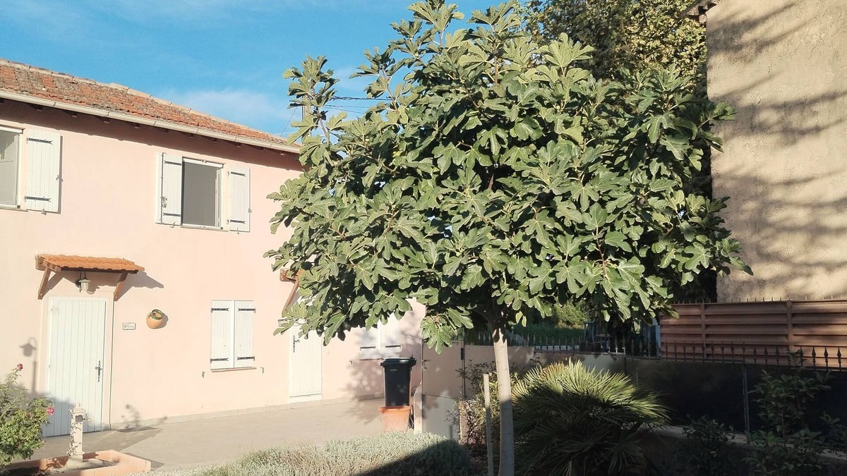 La Roquette-sur-Siagne Apartment | Bastide provenzal in the county and 5 km from the beach
