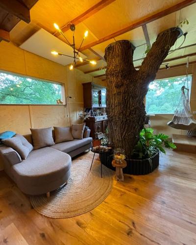 Borstel Bed & Breakfast | Baumhaus Beletage