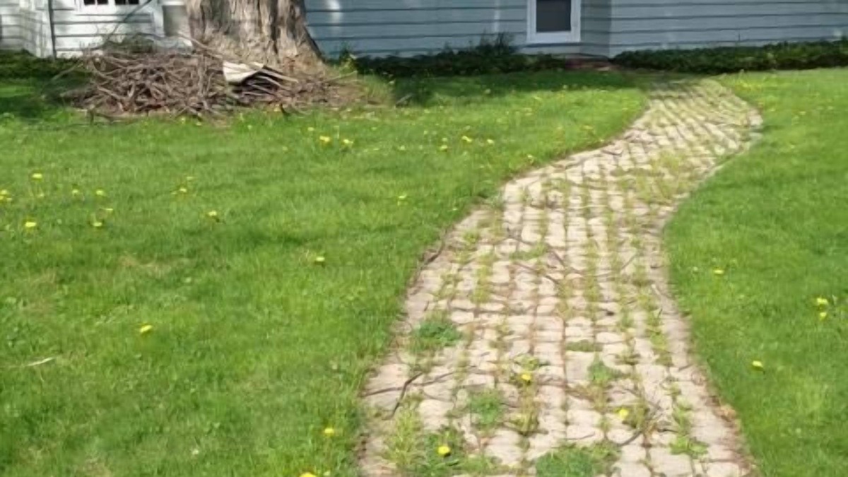 Fort Erie House | Bay Beach house. No roads to cross to beach. Private beach.
