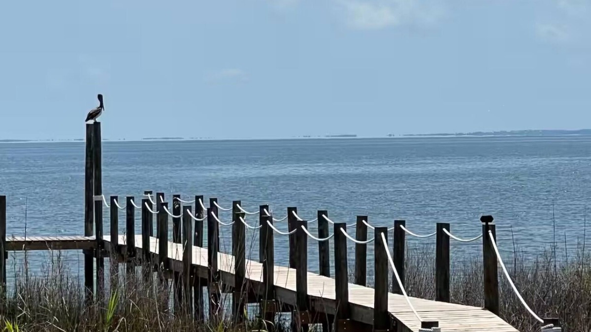 Apalachicola House | 🌴Bay Breeze Believer Apalachicola Bay Front Home with Fishing Dock🌴