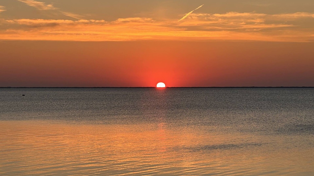 Waretown House | Bay Front Oasis, Magnificent Views, Kayaking/Fishing/Clamming, Swans/Birds