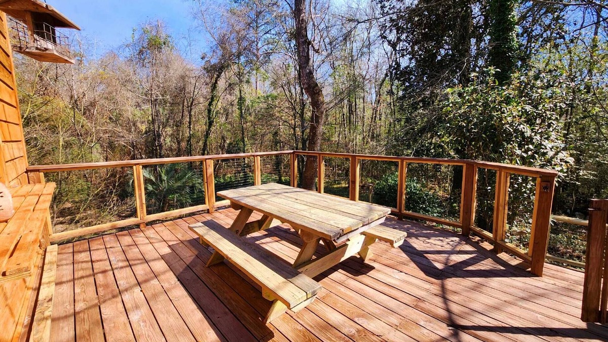Bush Cabin | Bayou Bromeliad at Lochloosa