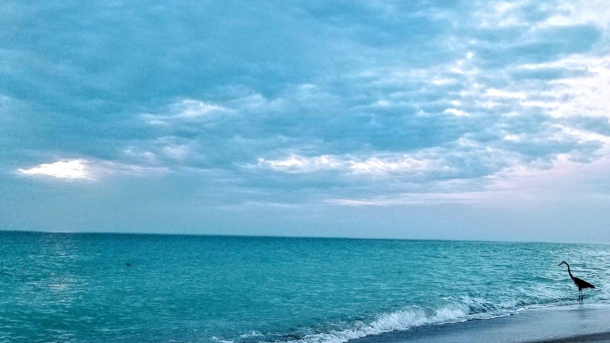 Longboat Key Condo | Bayport Beach & Tennis Club ~ A Beach to Bay Tropical Oasis!