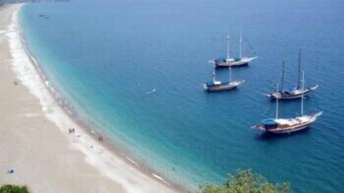 Olympos Hotel | Bayrams Tree Houses