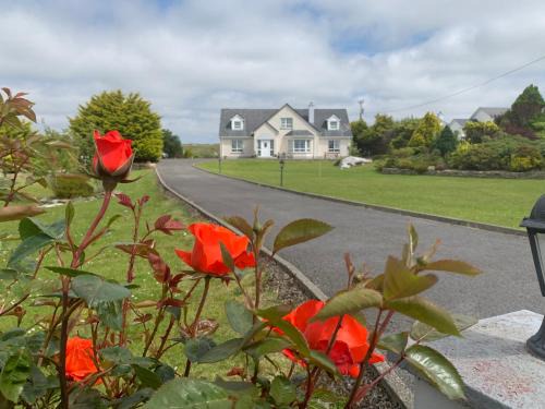 Ardara Bed & Breakfast | Bayview Country House B&B - F94 VK64