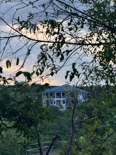 Spring Village House | Bayview Villa