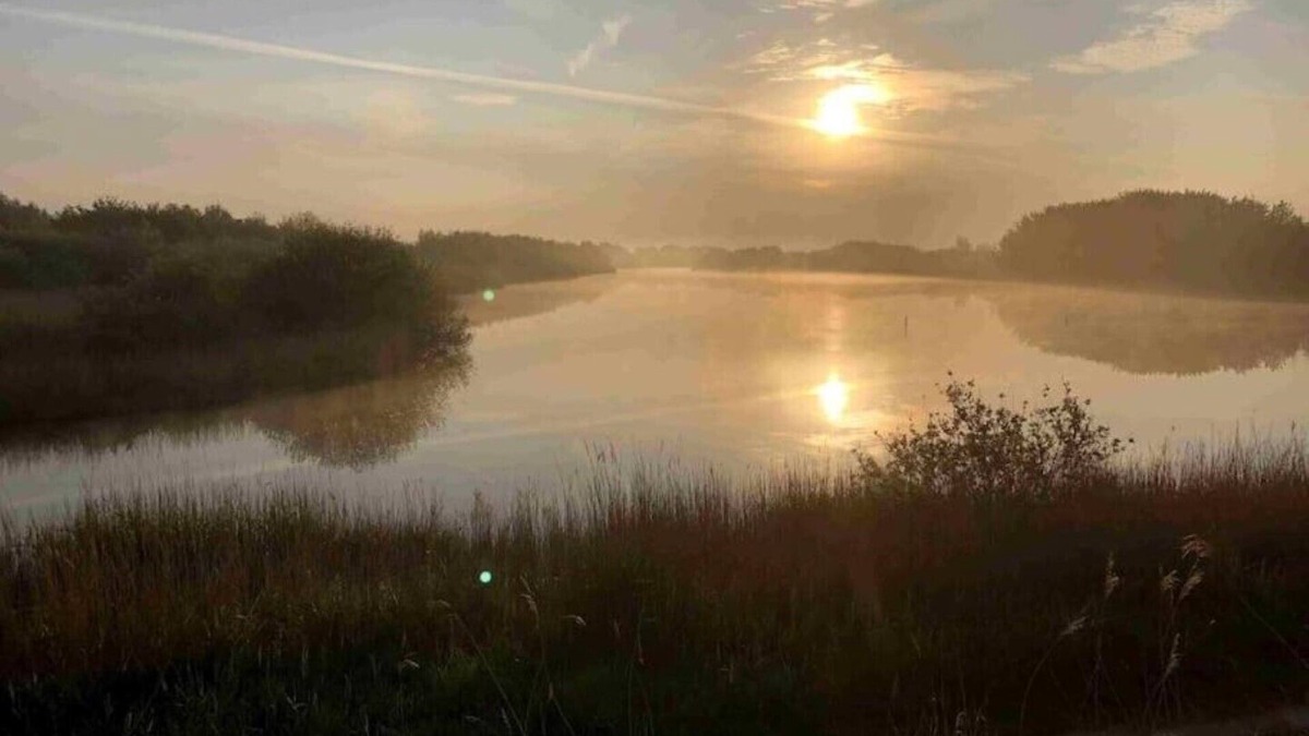 Westkapelle Apartment | Bazien Luxe Kamer bij Strand en Kreek Natuur en Veel Faciliteiten