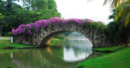 Pelabuhan Klang House | Bdr Bukit Tinggi Klang Tropicana Garden Homestay