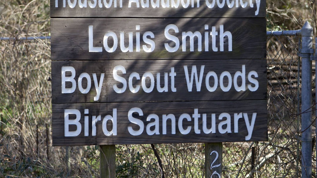 Port Bolivar House | Beach and Bird Watcher Paradise Shasta Camper in High Island