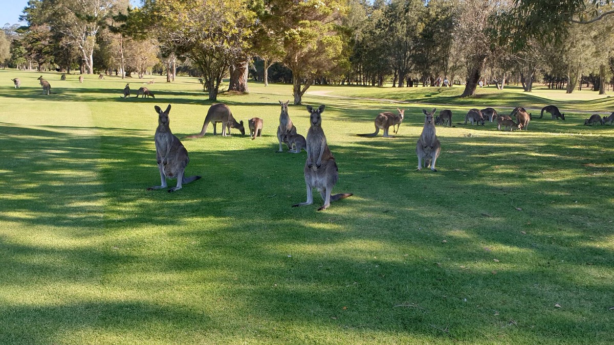 Batemans Bay House | BEACH AND GOLF RESORT