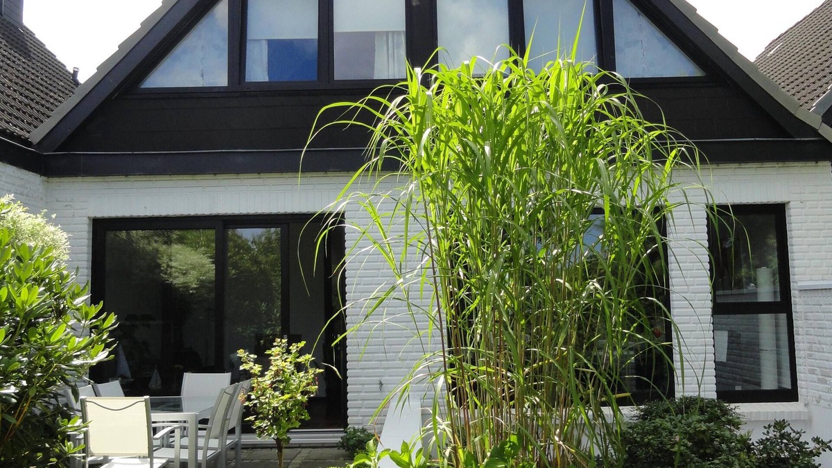 Schilksee House | Beach and sea(h)r in a vacation home with garden close to the beach at Schilksee⛵️