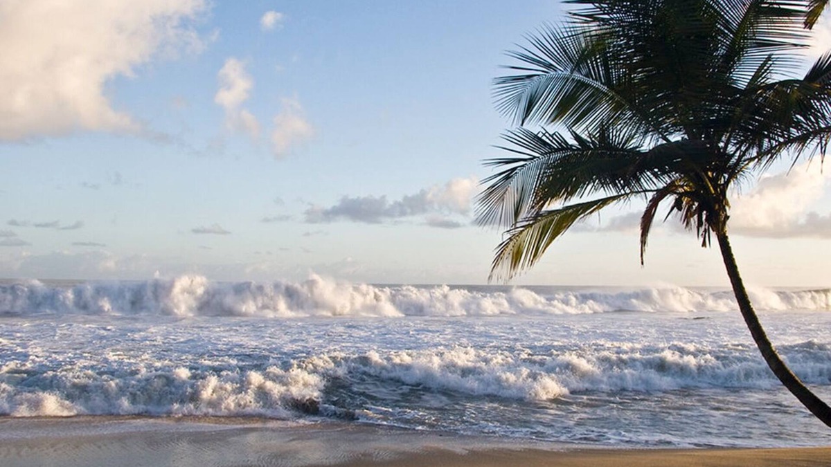 Las Cuevas House | Beach andNature Lovers Cottage near secluded beach