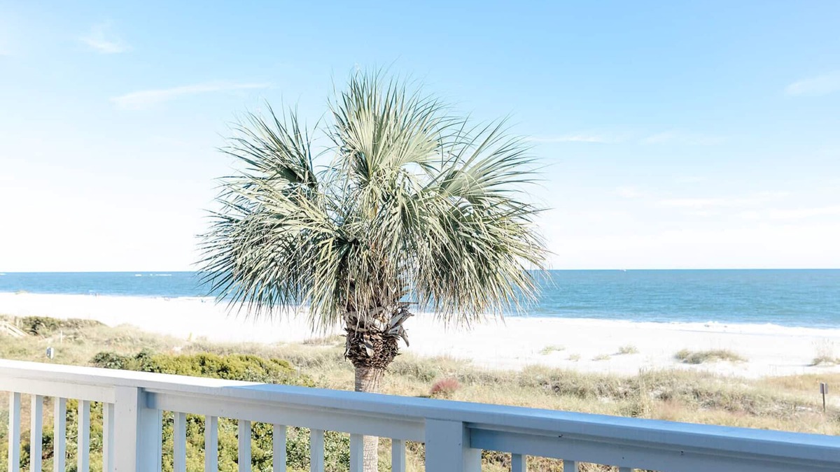 Isle of Palms Villa | Beach Club Villa 32 - Elite Oceanfront! Pool!