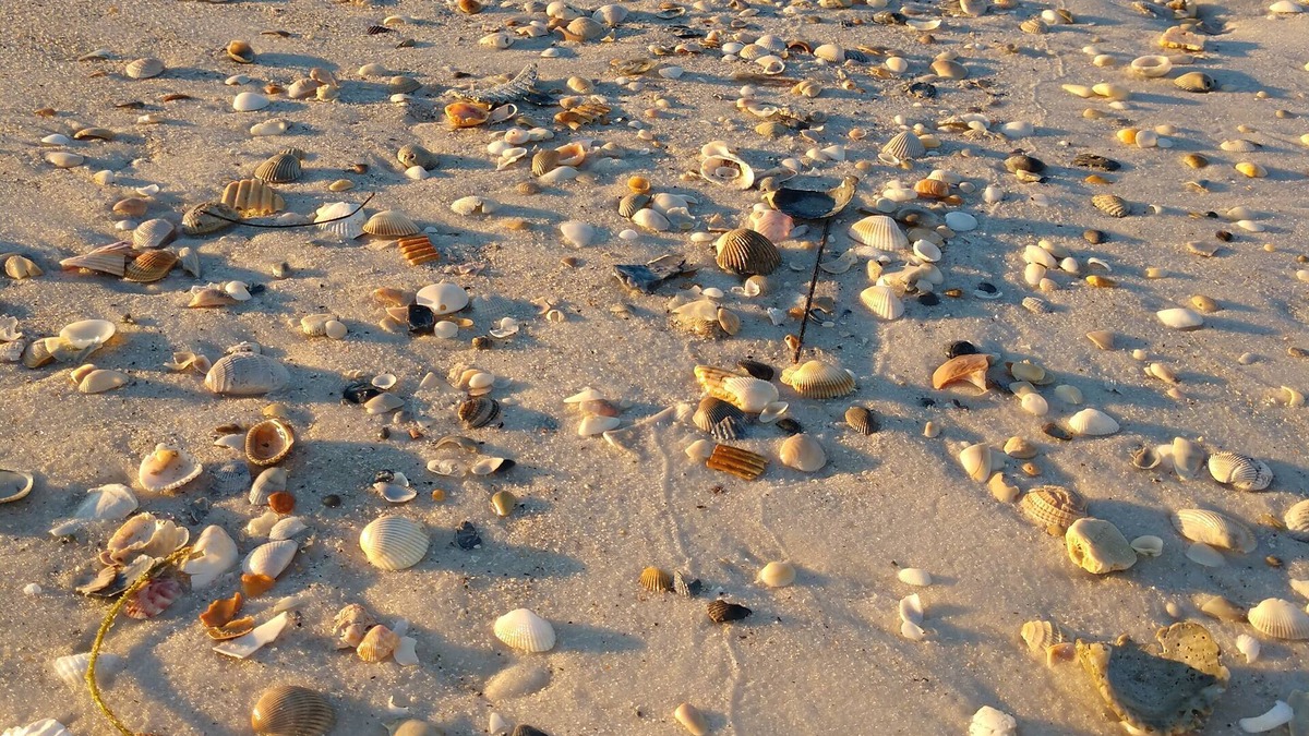 Port St. Joe House | Beach Dreams! Recently Remodeled 2 BR/2 BA sleeps (6) Non-smoking, no Pets.