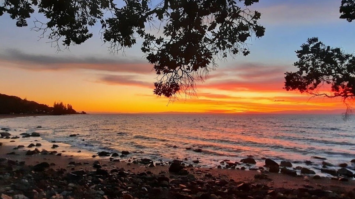 Ngarimu Bay House | Beach Front Bach - Thornton Bay