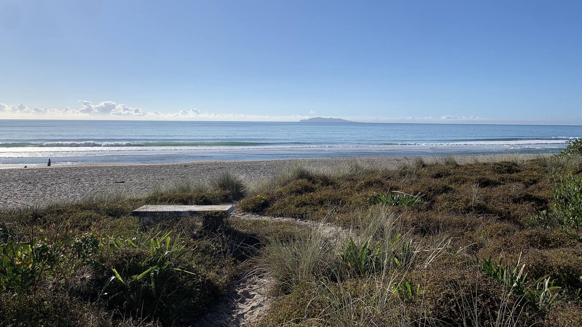 Whiritoa House | Beach front Bach