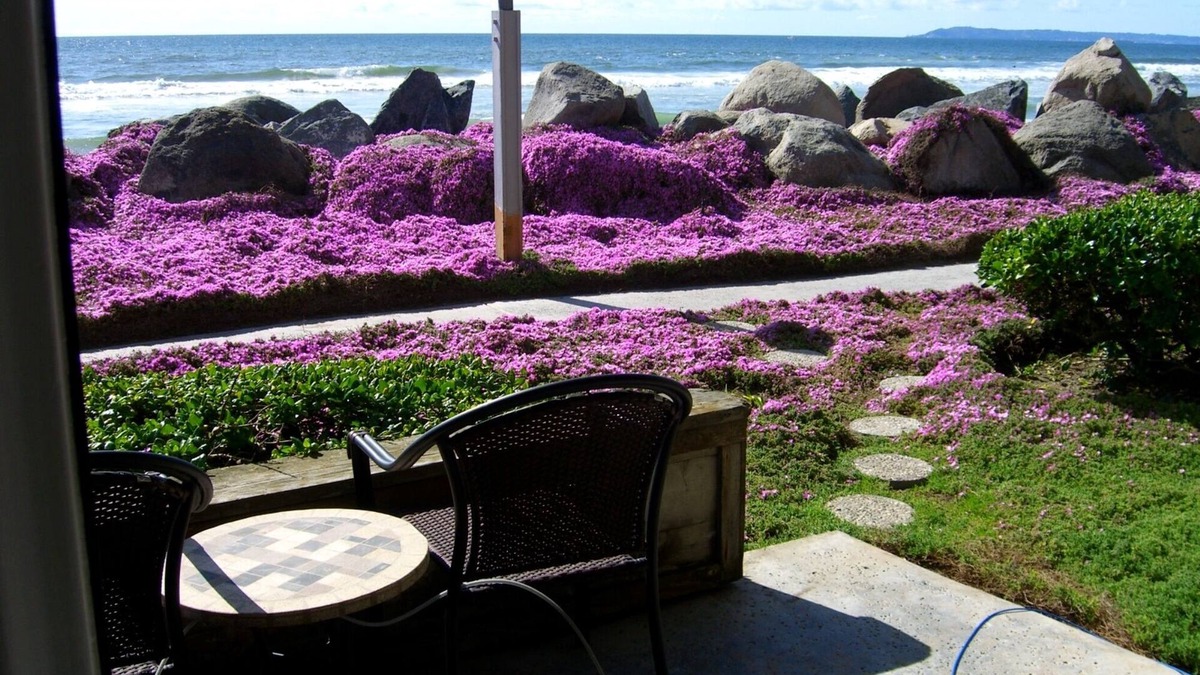 Imperial Beach Condo | Beach Front Condo Nothing Between You & The Ocean! STEPS TO THE BEACH👙