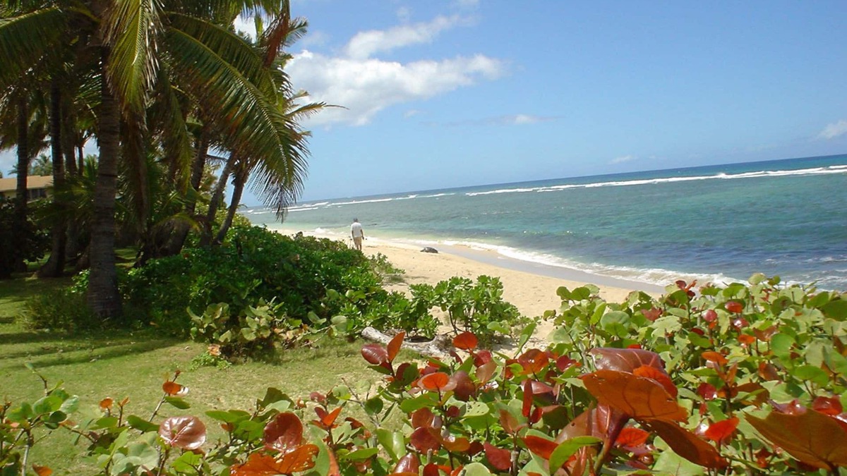 Mokuleia House | Beach Front Estate With Guest Cottage Sandy Beach Heated Pool/Spa