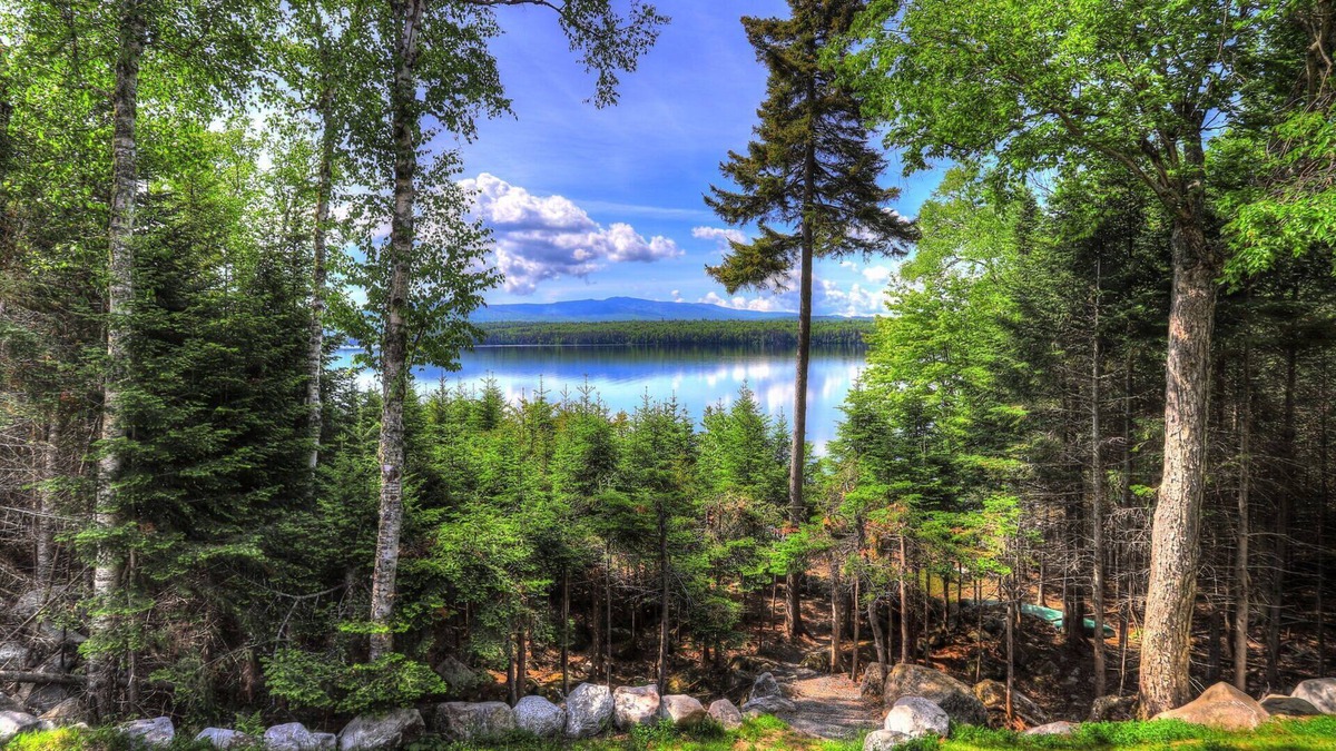 Rangeley Plantation House | Beach Front Retreat - Private home on Mooselookmeguntic Lake