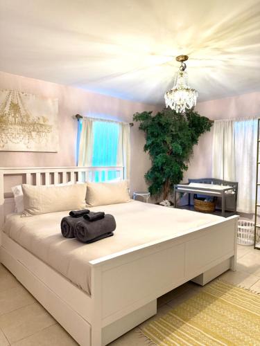Southwest House | Beach Glam Abode - King Bed, BBQ, Beach Gear
