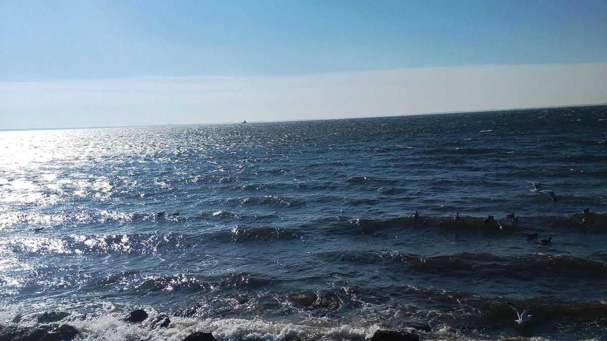 Black Rock Historic District House | Beach House located in Black Rock Harbor. Walk 1 block to beach. Private & Quiet