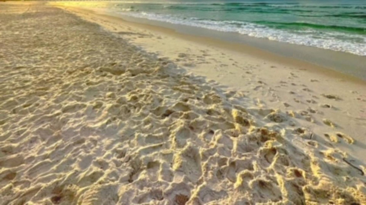 Bid-a-wee Beach House | BEACH HOUSE! 🏄♀️🏝☀️🐬