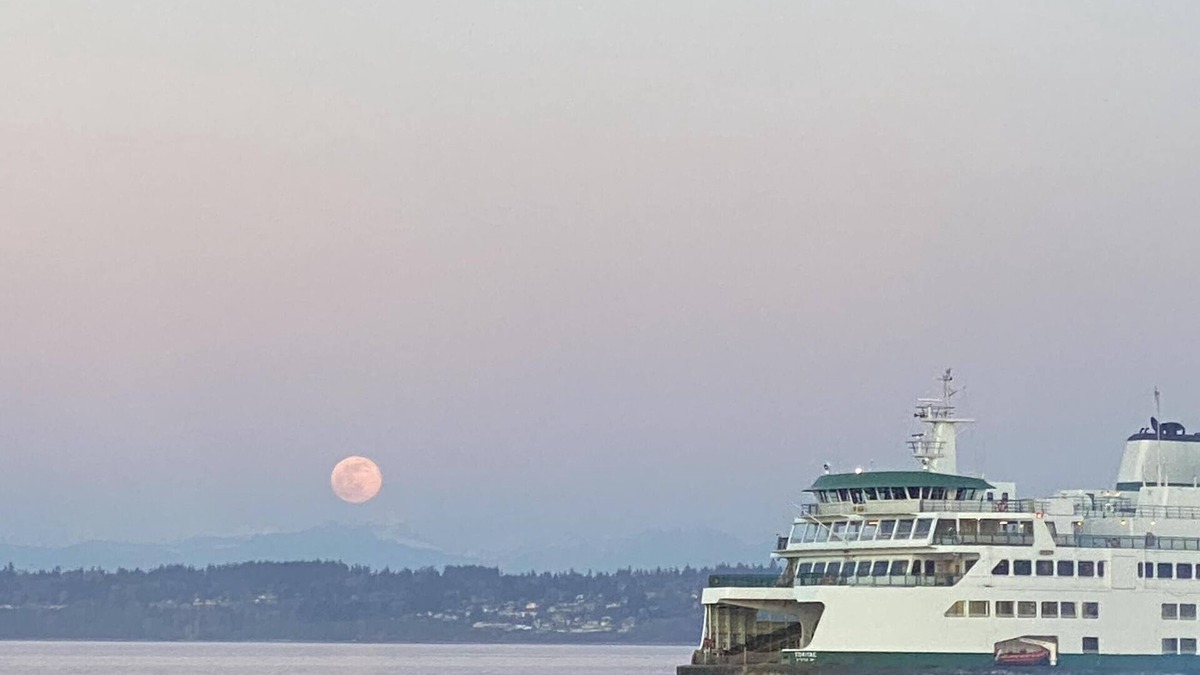 Clinton Cottage | Beach house with views of Puget Sound, ferry, North Cascades, Mt Baker, Rainier.