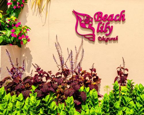 Dhigurah House | Beach Lily Dhigurah